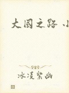 大国之路 小说