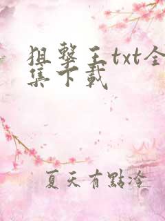 狙击王txt全集下载