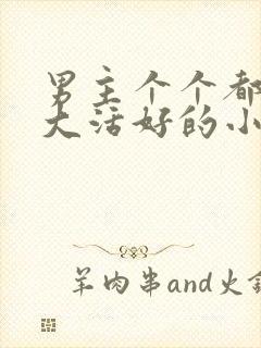 男主个个都是器大活好的小说