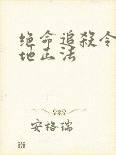 绝命追杀令2就地正法