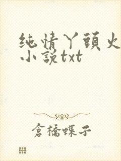 纯情丫头火辣辣小说txt