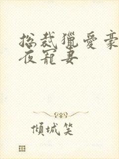 总裁猎爱豪门一夜宠妻