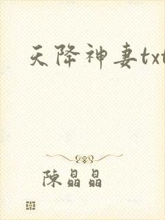 天降神妻txt