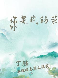 你是我的荣耀番外