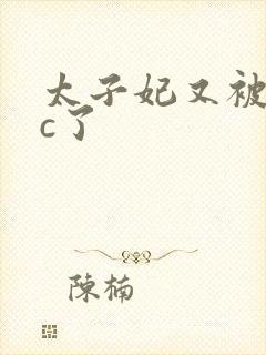 太子妃又被皇帝c了