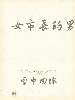 女市长的男秘书