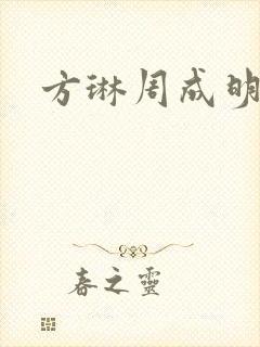 方琳周成明小说