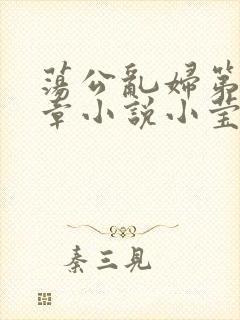 荡公乱妇第51章小说小莹