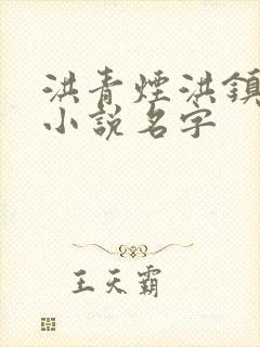 洪青烟洪镇国的小说名字