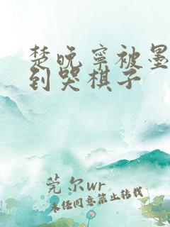 楚晚宁被墨燃做到哭棋子