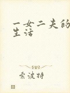 一女二夫的激情生活