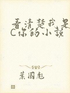 看清楚我是怎么C你的小说