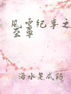 风云纪事之唯武至尊