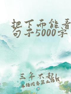 把下面能看湿的句子5000字