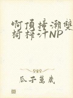 啊顶撞潮双H龙椅榨汁NP