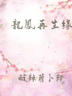 龙凤再生缘