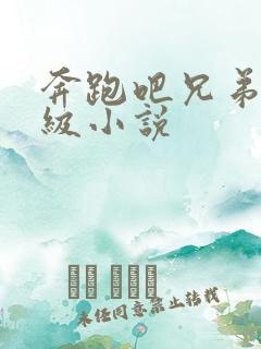 奔跑吧兄弟限制级小说