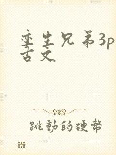 孪生兄弟3ph古文