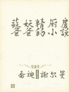 苏妖精厨房爹爹爸爸的小说