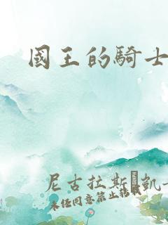 国王的骑士