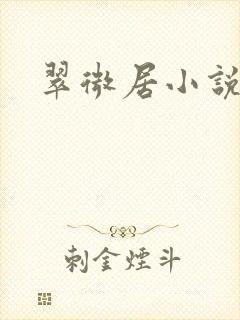 翠微居小说