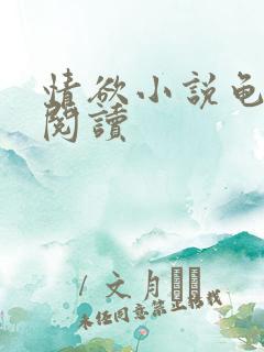 情欲小说龟全文阅读