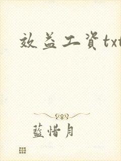 效益工资txt