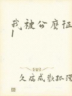 我被公么征服了1