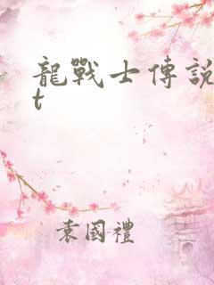 龙战士传说txt