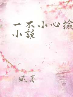 一不小心捡到爱小说