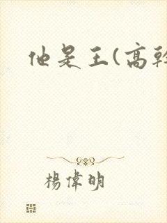 他是王(高干)