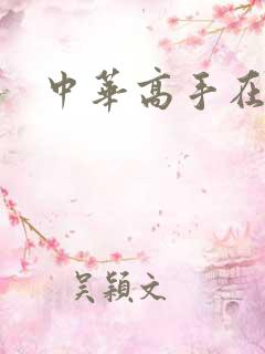 中华高手在异世