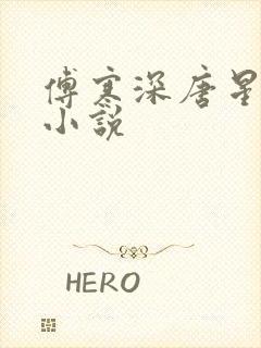 傅寒深唐星挽的小说