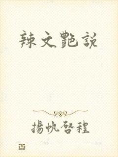 辣文艳说