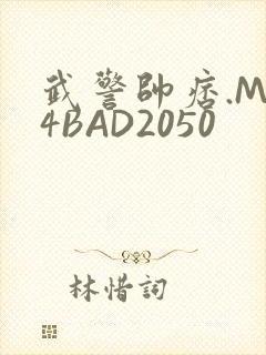 武警帅痞.MP4BAD2050
