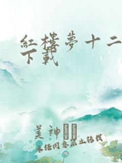 红楼梦十二金钗下载