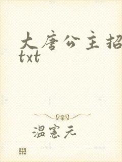 大唐公主招亲记txt