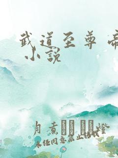 武道至尊 帝临 小说