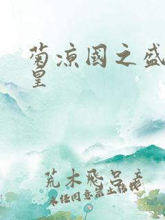 菊凉国之盛世女皇