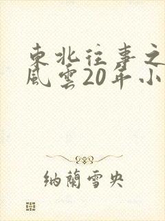 东北往事之黑道风云20年小说