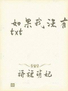 如果我没有爱过txt
