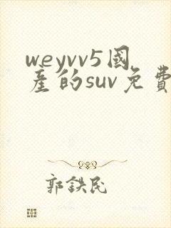 weyvv5国产的suv免费