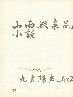 山雨欲来风满楼小说