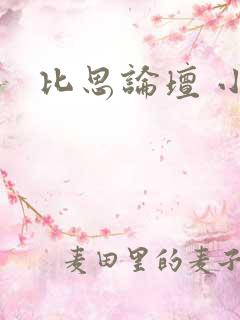 比思论坛 小说