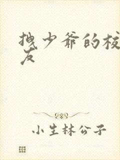 拽少爷的校花女友