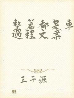 整篇都是车的肉过程文案