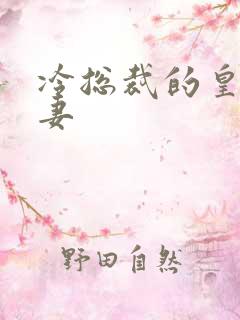 冷总裁的皇后暖妻