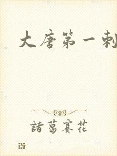 大唐第一刺局