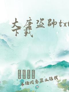 大唐盗帅txt下载