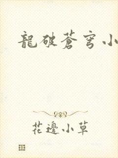龙破苍穹小说